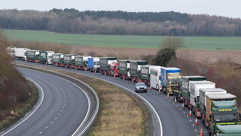 The Government has predicted delays at Dover could last up to six months