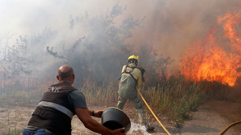 Firefighters help to put out a forest fire near the village of Vila de Rei