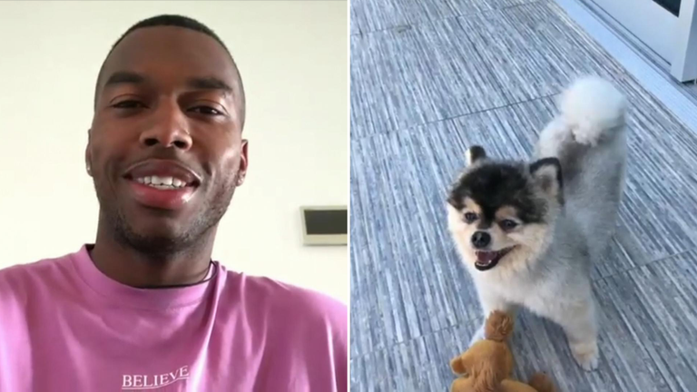 Daniel Sturridge se reunió con su perro.  Imagen: Daniel Sturridge