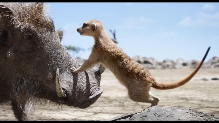 Billy Eichner and Seth Rogen aren't sure whether their characters in Disney's "The Lion King" are gay, but say that more family films should include openly gay characters.