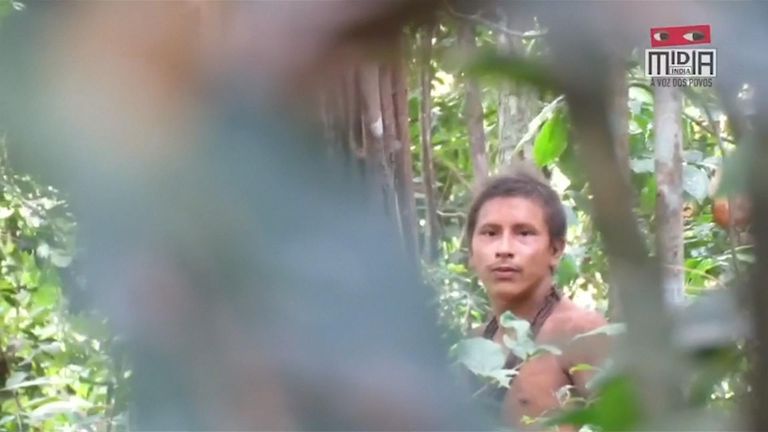 uncontacted awa tribe