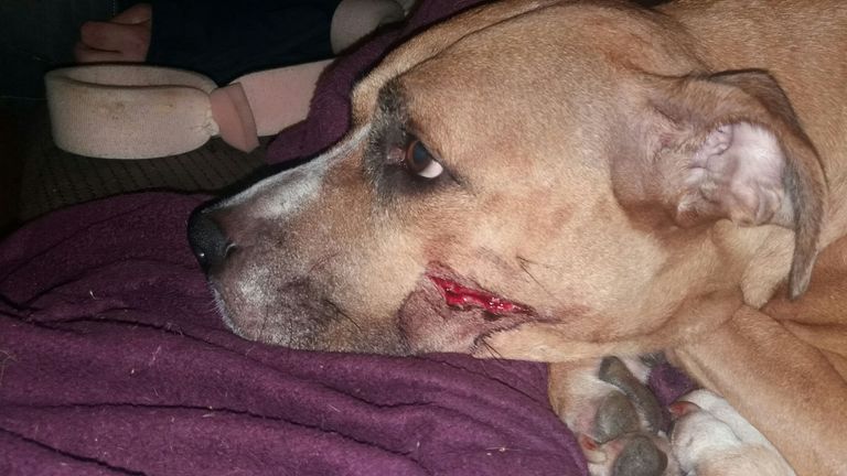 Zena she was hit on the head with a machete