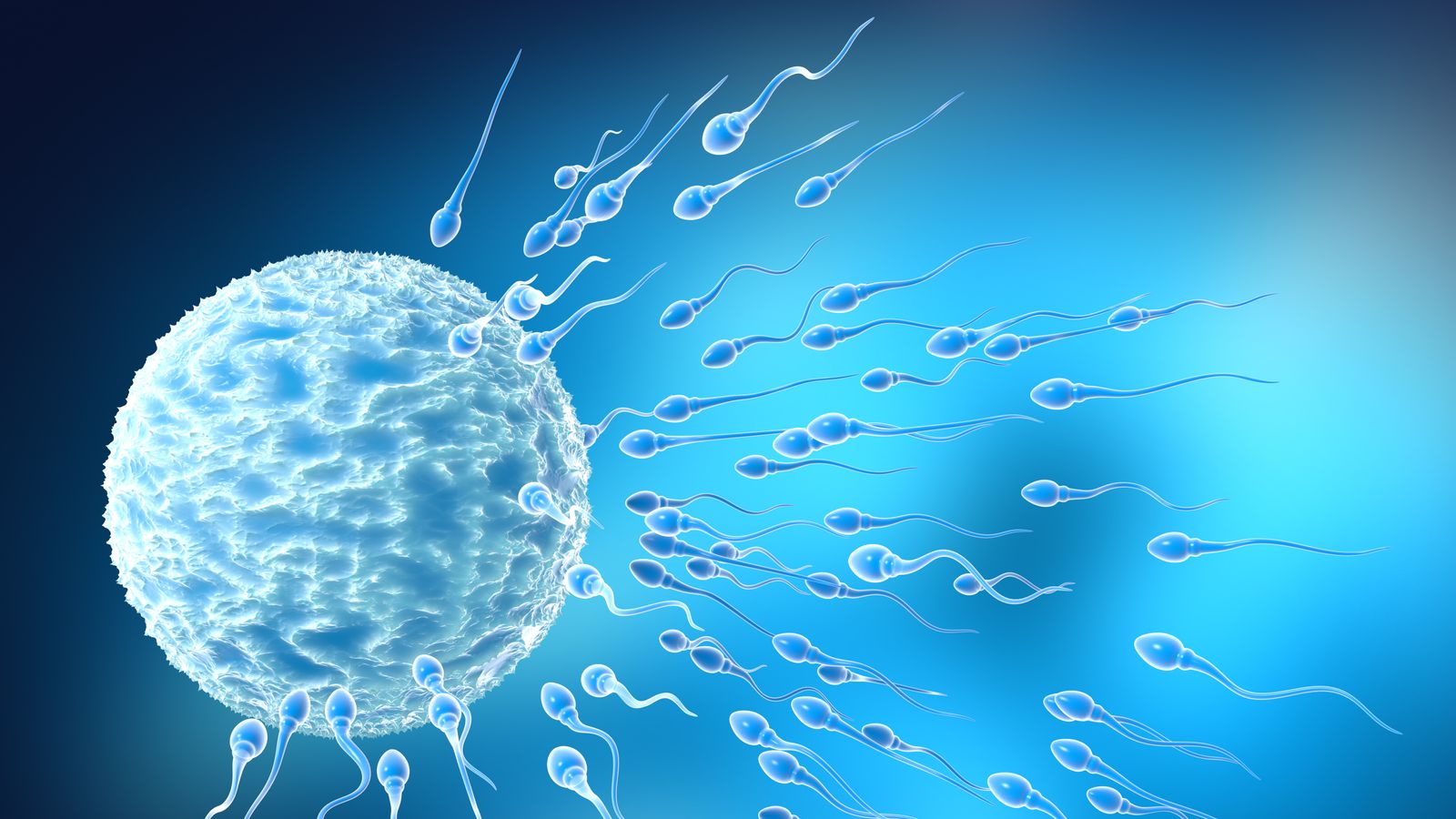 Sperm separation technique could allow IVF gender selection | Science ...