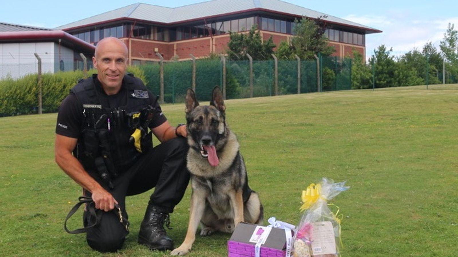 Man who stabbed police dog is jailed under new law to