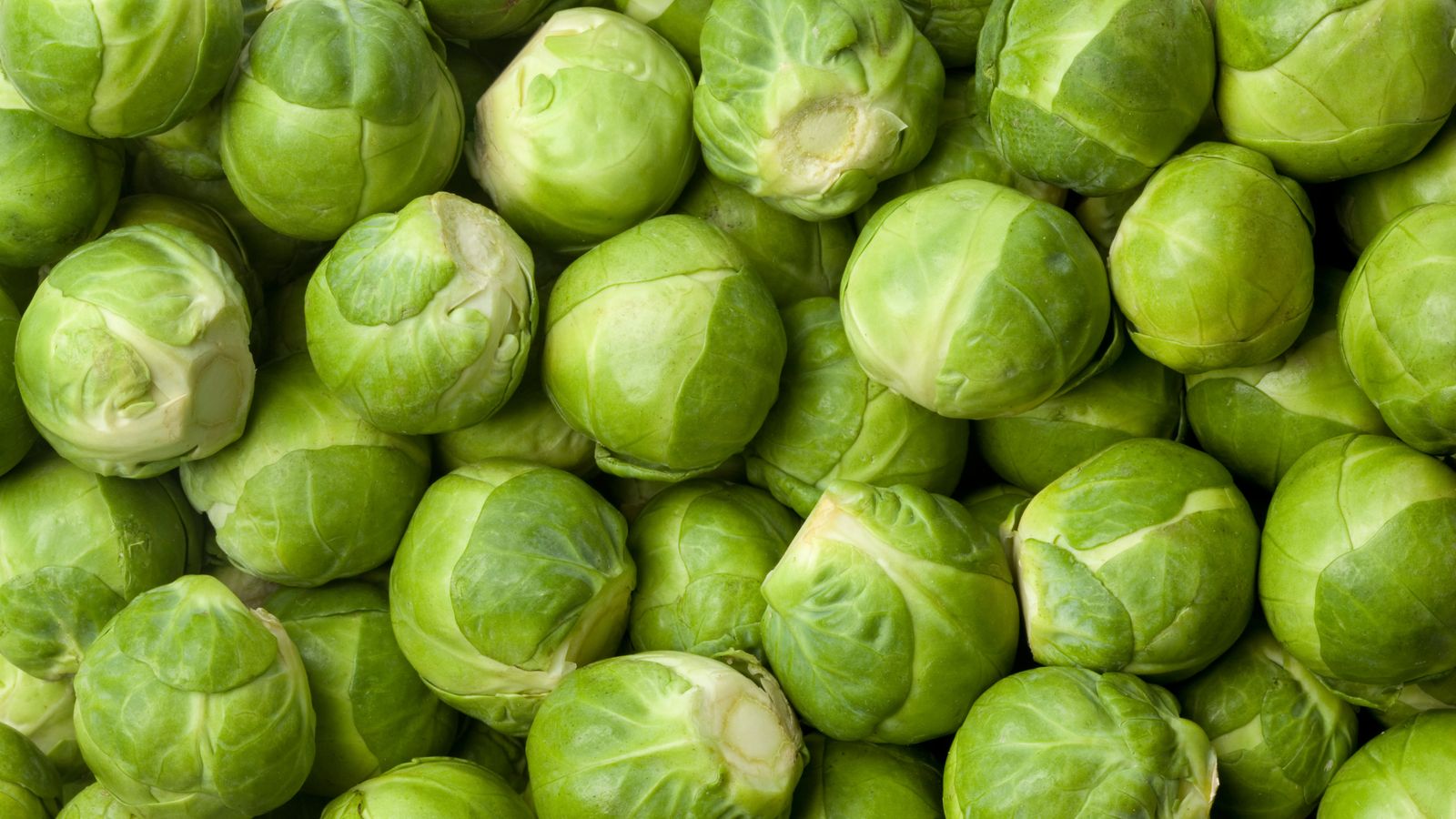Fears of sprout shortage at Christmas as 'unprecedented' heavy rain