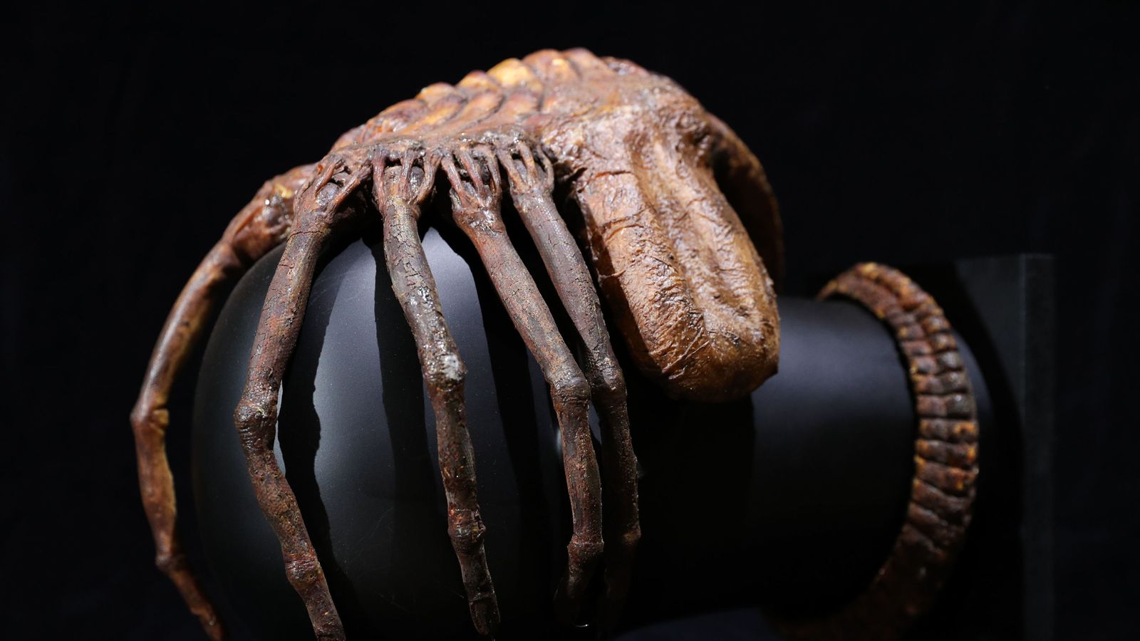 Forrest Gump trainers and Alien 'facehugger' among film items up for