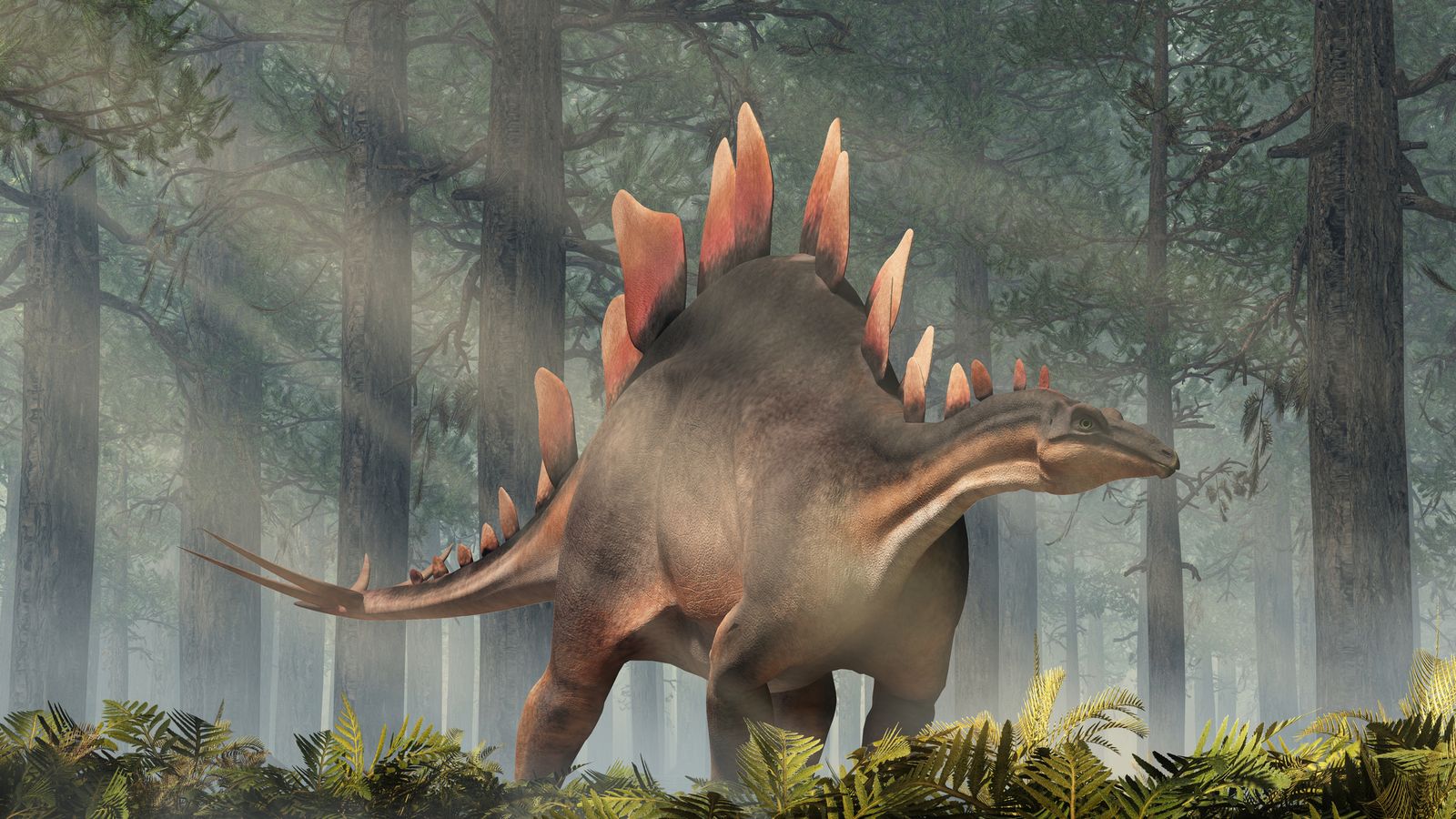 long neck dinosaur with spikes on back