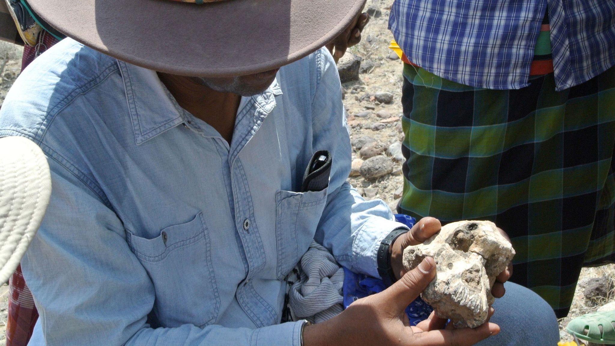 Game Changing Skull Of 3 8 Million Year Old Human Ancestor Discovered   Skynews Ancestor Skull 4757953 