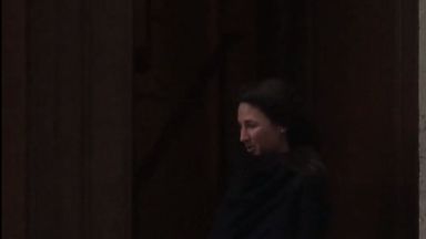 Who is the mystery brunette Prince Andrew waved to from Jeffrey Epstein