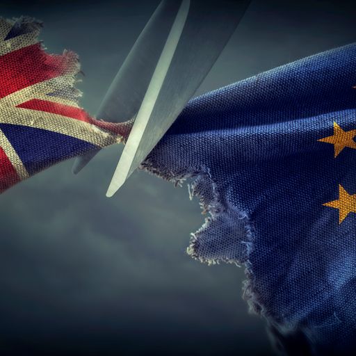 No-deal Brexit dossier explained