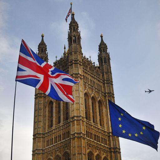 PM suspends parliament: What happens now with Brexit?