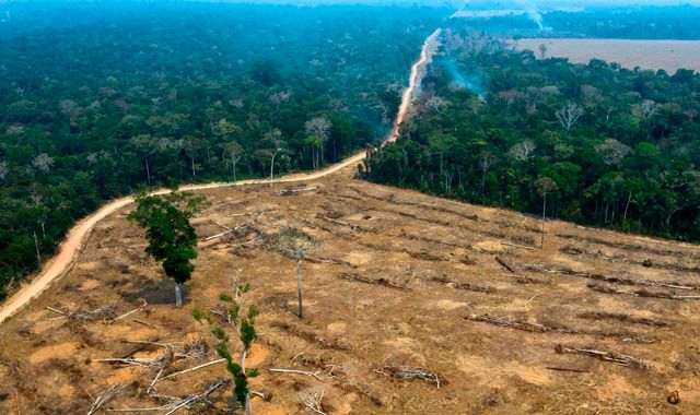 Major nations close to agreement on how to fight Amazon fires, says Emmanuel Macron