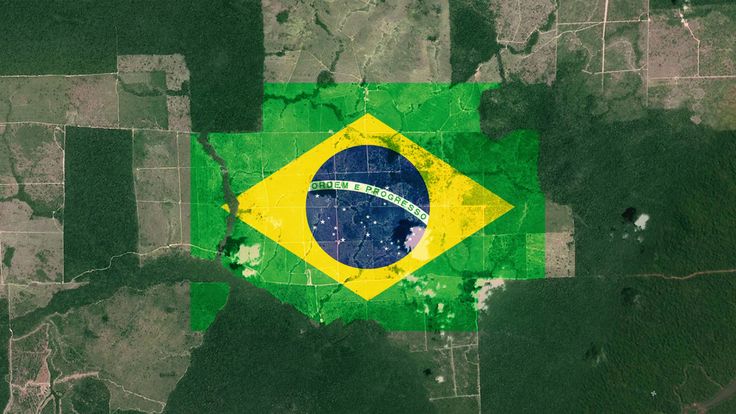 Brazil&#39;s rainforests are under threat again