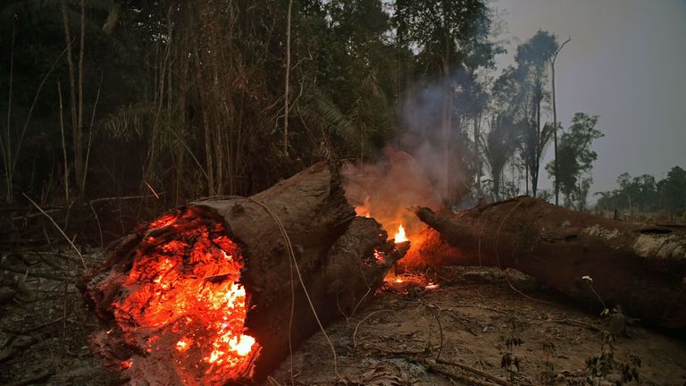 View of fire in the Amazon rainforest, near Abuna, Rondonia state, Brazil, on August 24, 2019