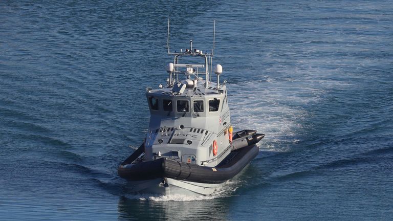 Border Force officials dealt with the rest of the migrants after they were brought to shore. File pic