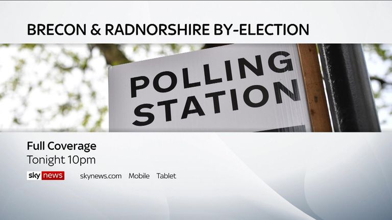 Brecon and Radnorshire by-election