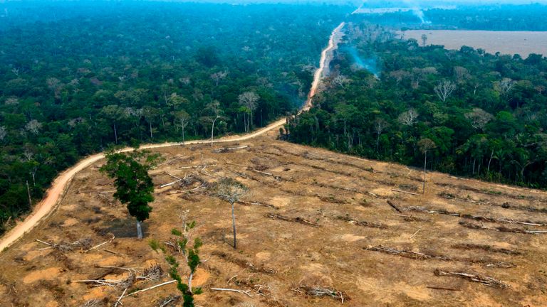 Burnt area of Amazon forest