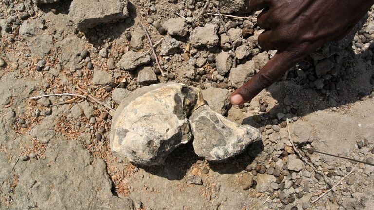 The skull was found in Ethiopia. Pic: Cleveland Museum of Natural History 
