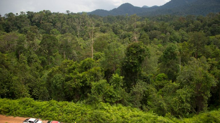 East Kalimantan location was once almost covered completely by rainforests