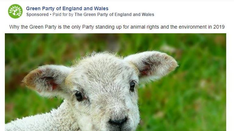 The Green Party ad features a lamb. Pic: Green Party