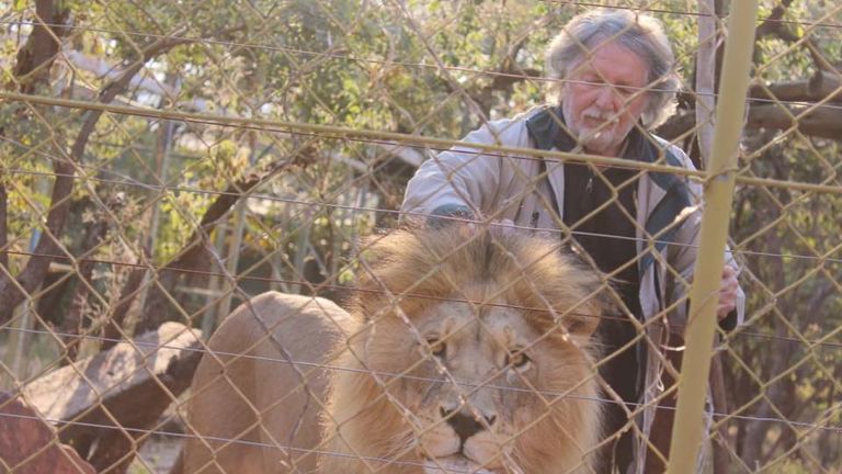 Three lions shot dead in South Africa after fatally mauling keeper - reports | World News | Sky News Three lions shot dead in South Africa after fatally mauling keeper - reports | World News | Sky News