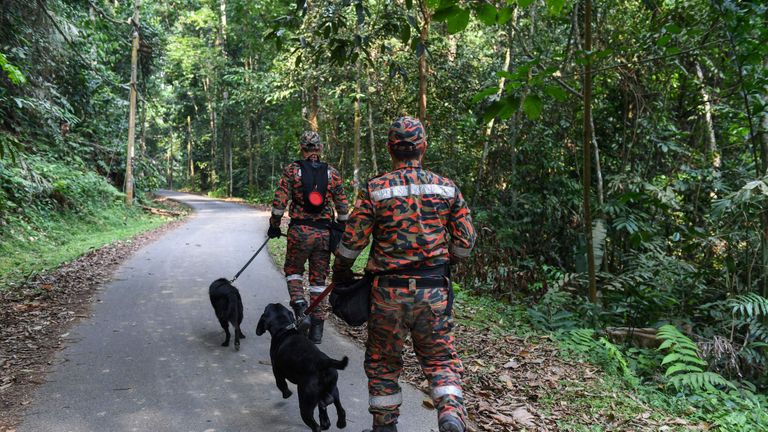 Sniffer dogs are being used in the search