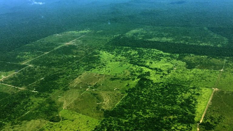 Special report: New Climate - Amazon rainforest &#39;in crisis&#39;