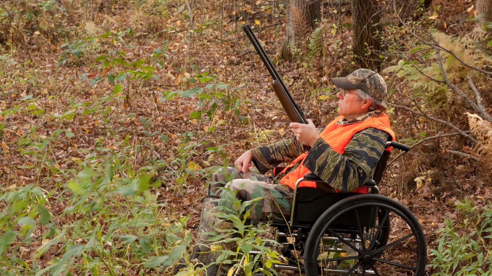Wheelchair hunting group set up to help disabled pheasant shooters US