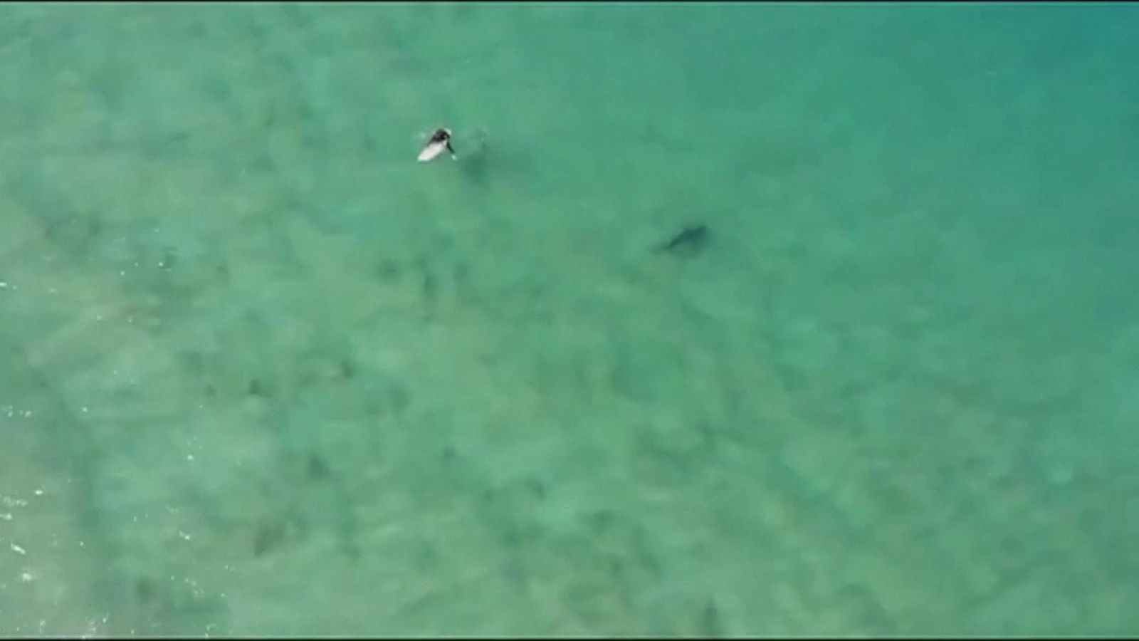 Drone captures shark approaching surfer | World News | Sky News