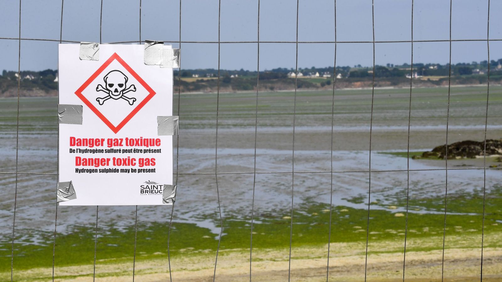 Deadly algae on French beaches 'releasing toxic fumes that can kill in