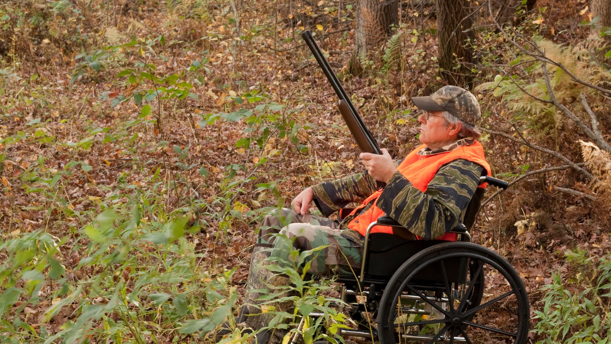 Wheelchair hunting group set up to help disabled pheasant shooters US