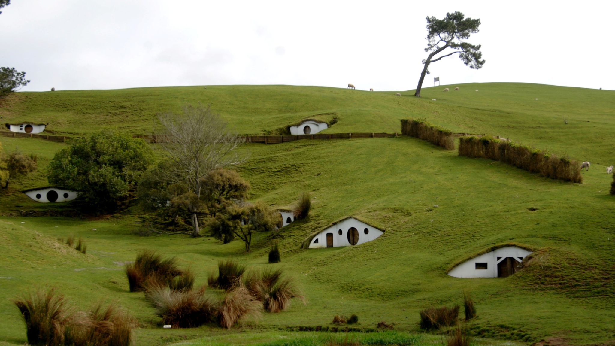 Lord Of The Rings returns to New Zealand for Amazon TV series Ents