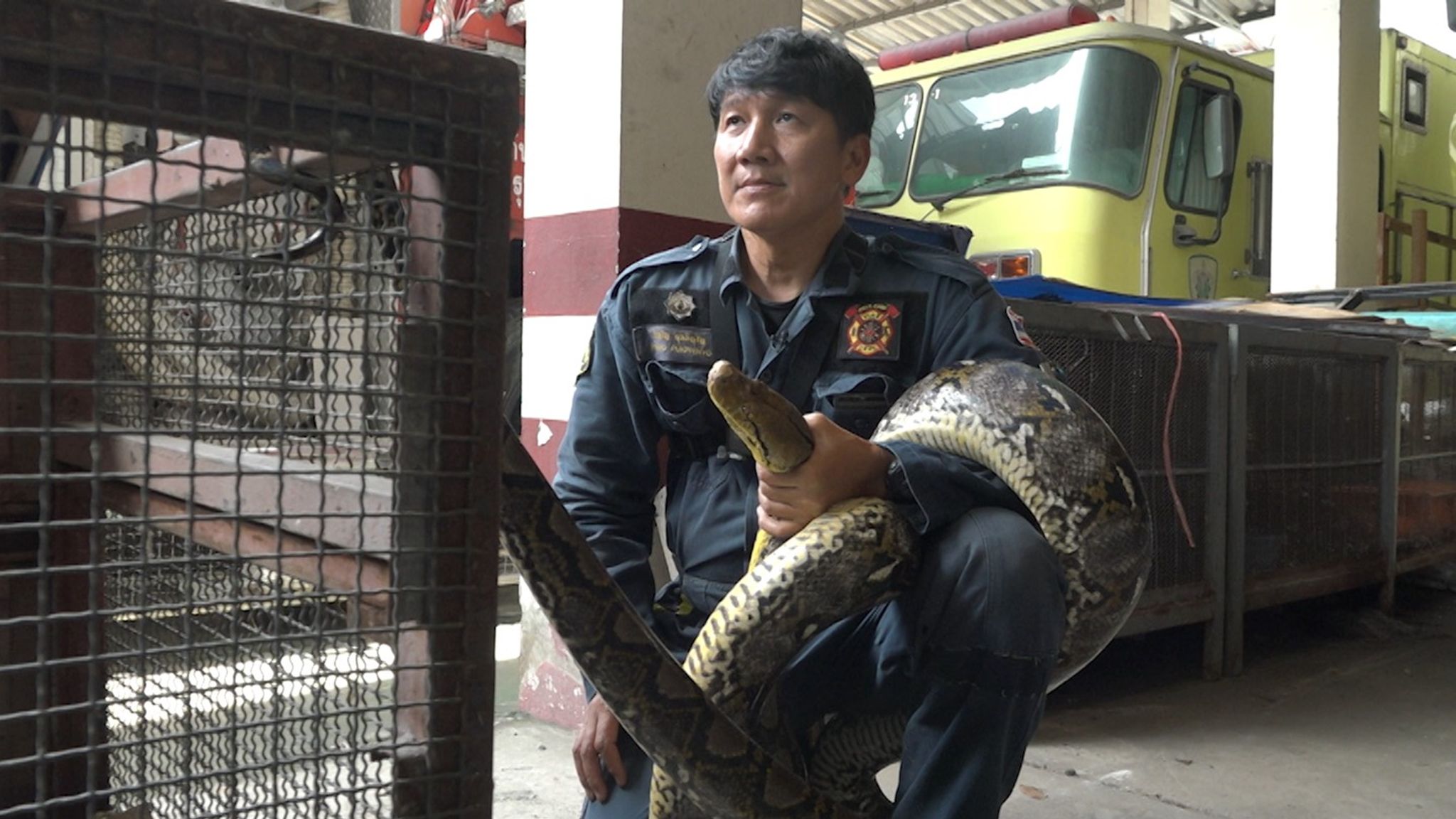 As snake intrusions soar in Bangkok, it's this man's job to catch them