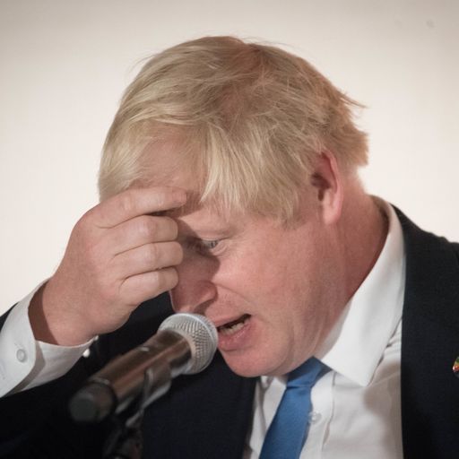 Boris Johnson given two weeks to explain dealings with US businesswoman