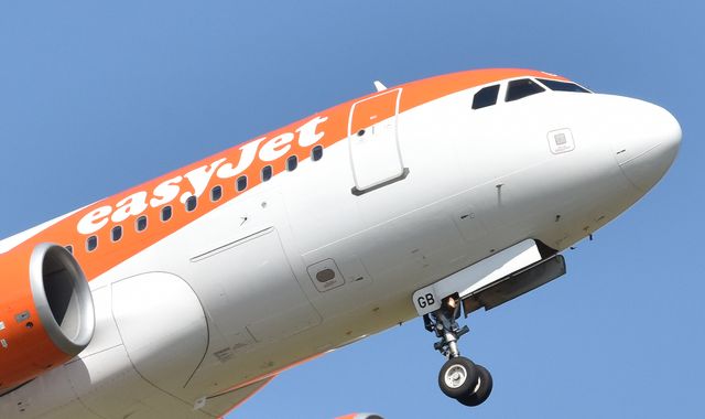 EasyJet to offset carbon emissions from all flights by planting trees