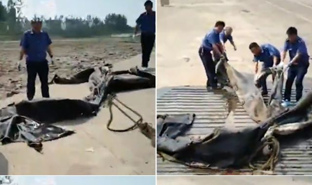China's 'Loch Ness monster' is actually a lot of hot air(bag)