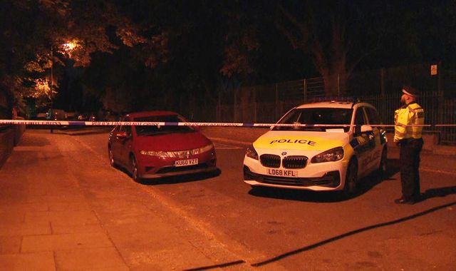 Man dies after being stabbed in north London as suspect chased by passers-by