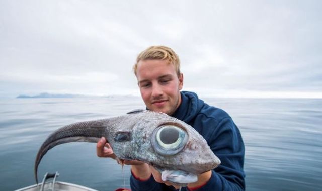 Fisherman gets shock as he reels in 'dinosaur-like' fish with huge eyes