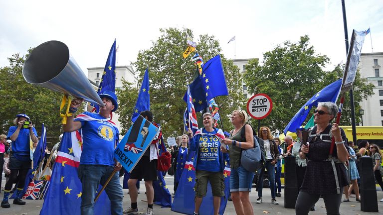 Anti Brexit protesters
