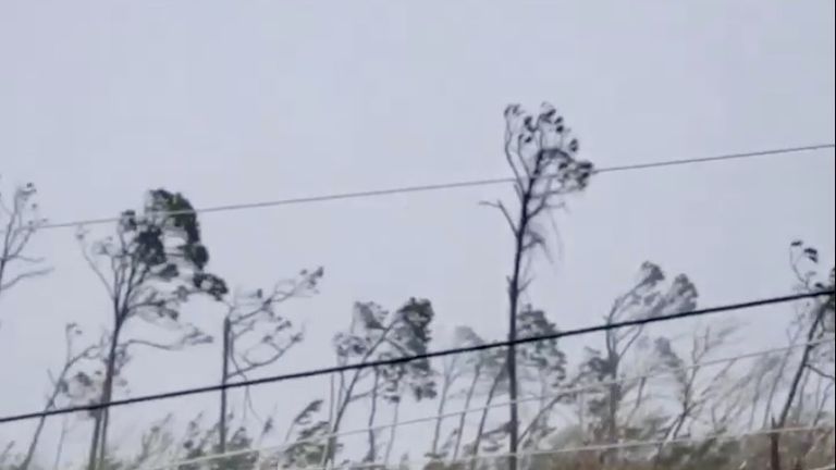 Uprooted trees, fallen power lines and the debris from damaged houses scatter on a road as Hurricane Dorian sweeps through Marsh Harbour, Bahamas, September 1, 2019. Pic: Ramond A King