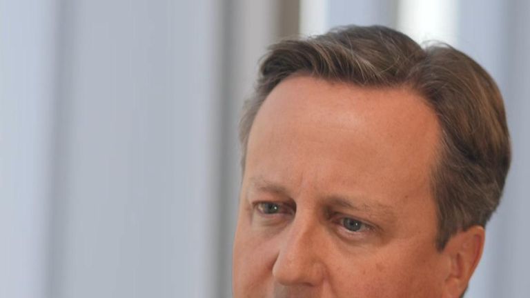 David Cameron does not want to talk about the Queen
