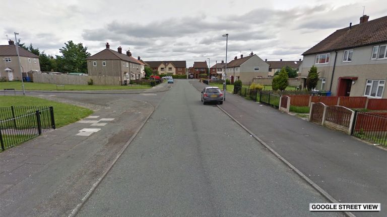 Woman dies after being attacked by two dogs in Cheshire | UK News | Sky ...