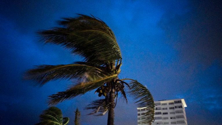 Strong winds move the palms of the palm trees at the first moment of the arrival of Hurricane Dorian in Freeport, Grand Bahama, Bahamas, Sunday Sept. 1, 2019. (AP Photo / Ramon Espinosa)