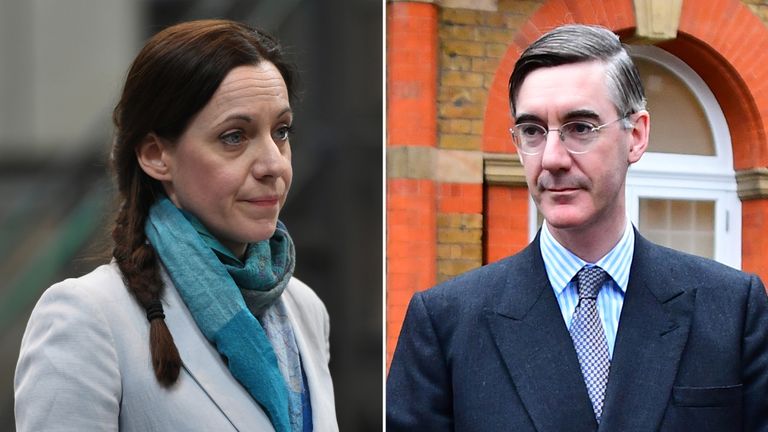 Annunziata Rees Mogg stood (and won) as a candidate for the Brexit Party
