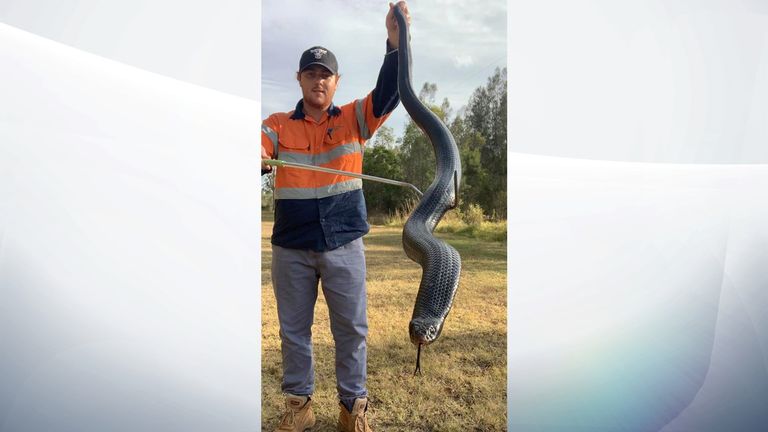 Bryce Lockett with the snake. Pic:  Snake Catchers Brisbane, Ipswich