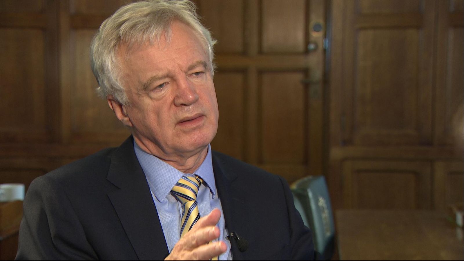 David Davis warns Tory Brexiteers: 'Remember the Spartans lost
