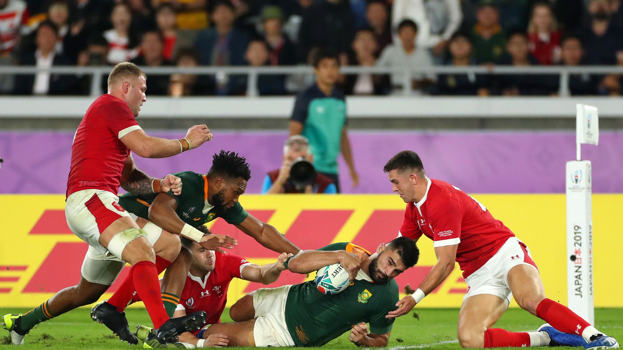Rugby World Cup South Africa beat Wales to set up final with England