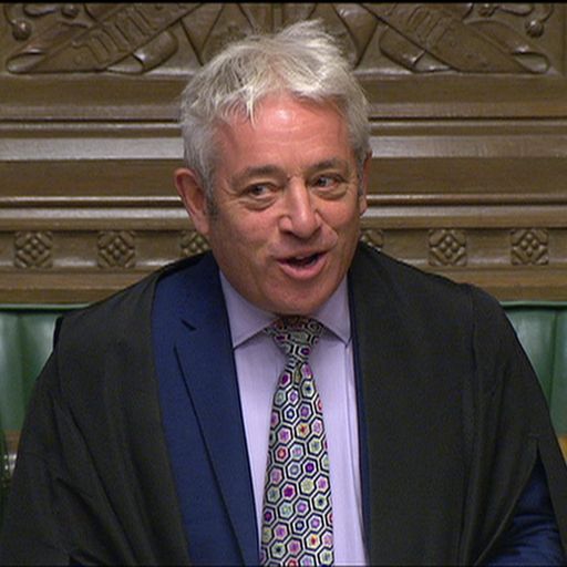 Who could replace John Bercow as House of Commons Speaker?