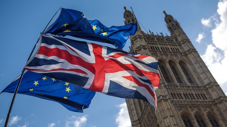 LONDON, ENGLAND - MARCH 11: Anti-Brexit protesters demonstrate with flags outside the House of Parliament on March 11, 2019 in London, England. Talks between the UK and the EU resume today before MPs in Parliament vote on British Prime Minister Theresa May's Brexit deal tomorrow. (Photo by Jack Taylor/Getty Images)