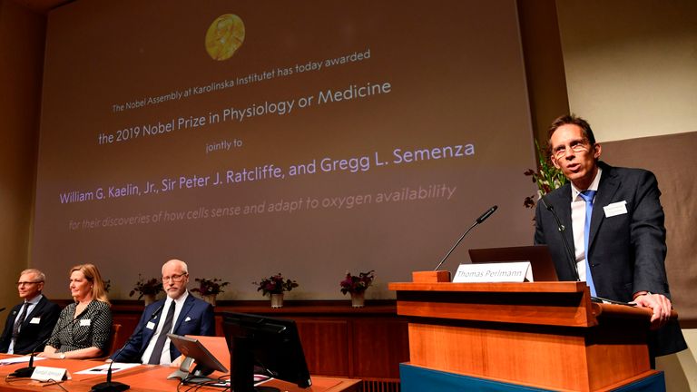 Thomas Perlmann (R), the Secretary of the Nobel Committee, speaks as the winners are announced of the 2019 Nobel Prize in Physiology or Medicine during a press conference at the Karolinska Institute in Stockholm, Sweden, on October 7, 2019. - US researchers William Kaelin and Gregg Semenza and Britain's Peter Ratcliffe won the Nobel Medicine Prize for discoveries on how cells sense and adapt to oxygen availability, the Nobel Assembly said. (Photo by Jonathan NACKSTRAND / AFP) (Photo by JONATHAN NACKSTRAND/AFP via Getty Images)